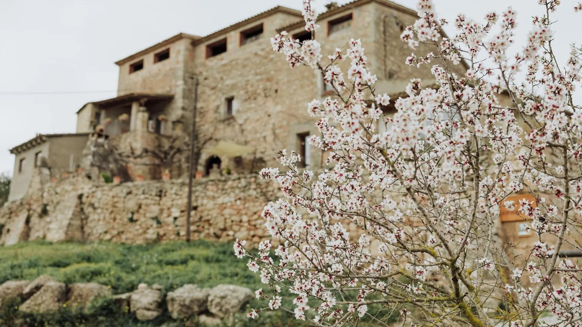 Masia Aubareda San Martín de Tous 0*,